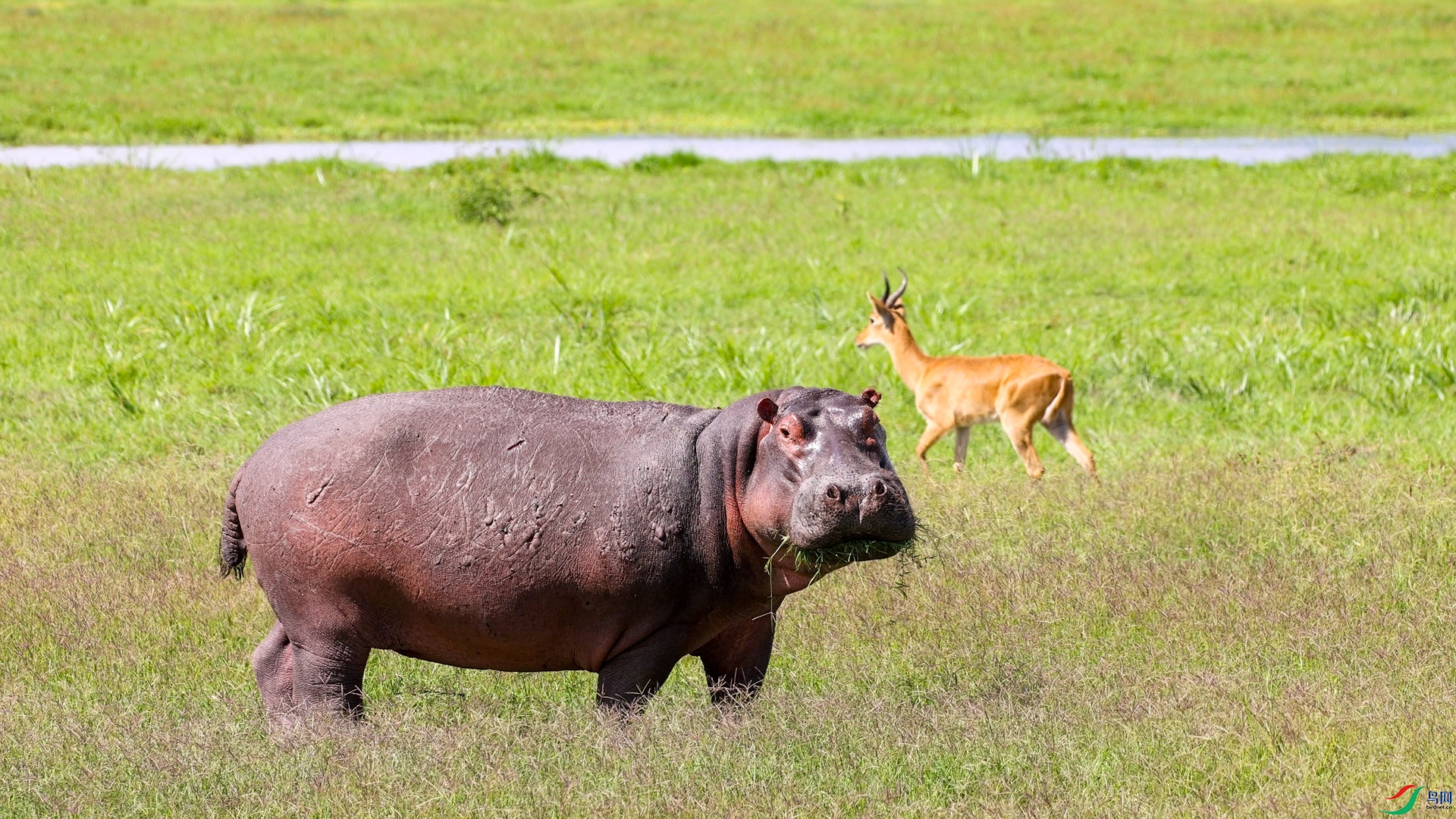 ΢��ͼƬ_20240522200113 ����.jpg