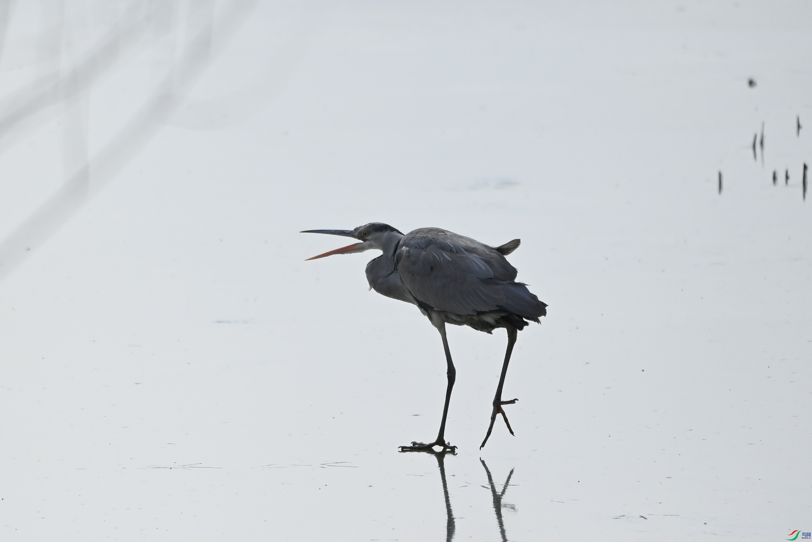 DSC_9424.jpg