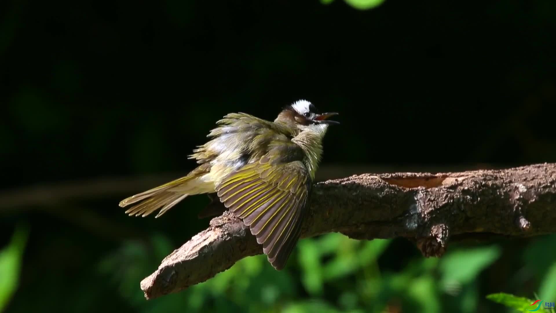 image1.jpg