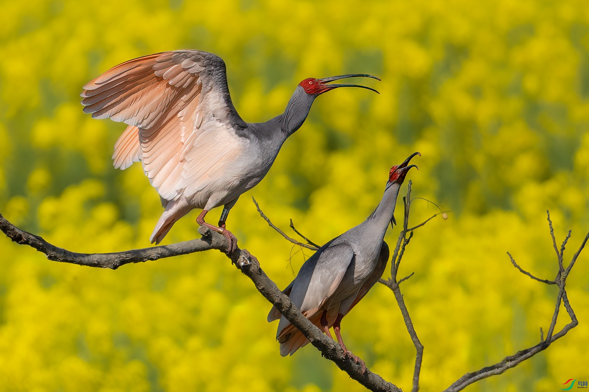 DSC04683-x ����.jpg