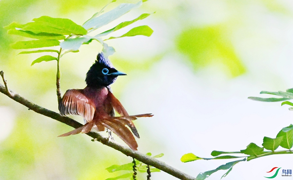 DSC_4538 - ����.JPG