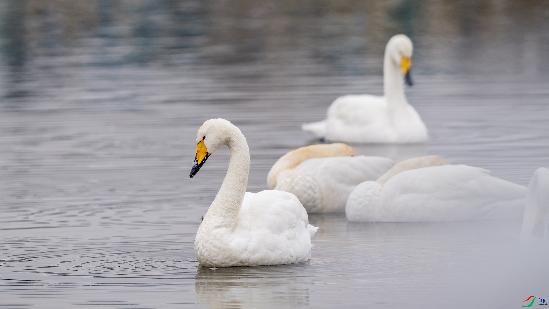 1_DSC4224 ����.jpeg