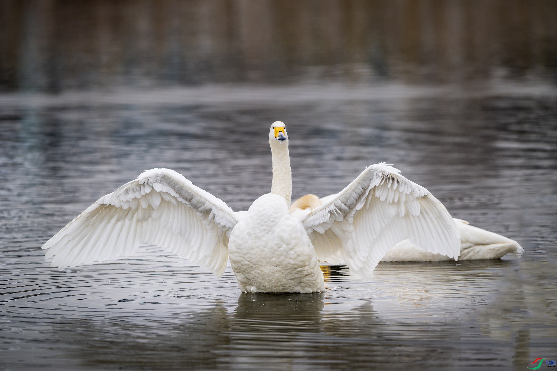 1_DSC4303 ����.jpeg