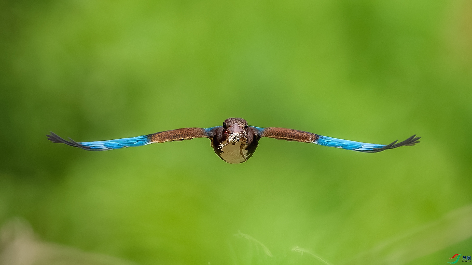 _DSC3050-����ǿ-NR ����.jpg