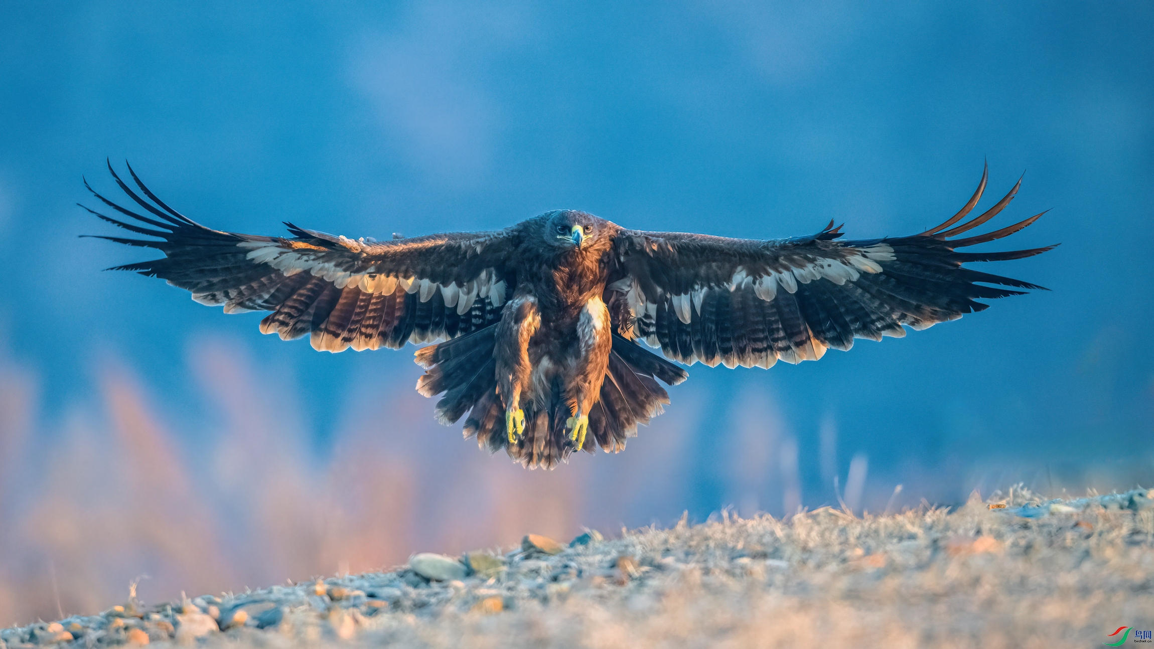 ��Ƭ_DSC2028 ����.jpg