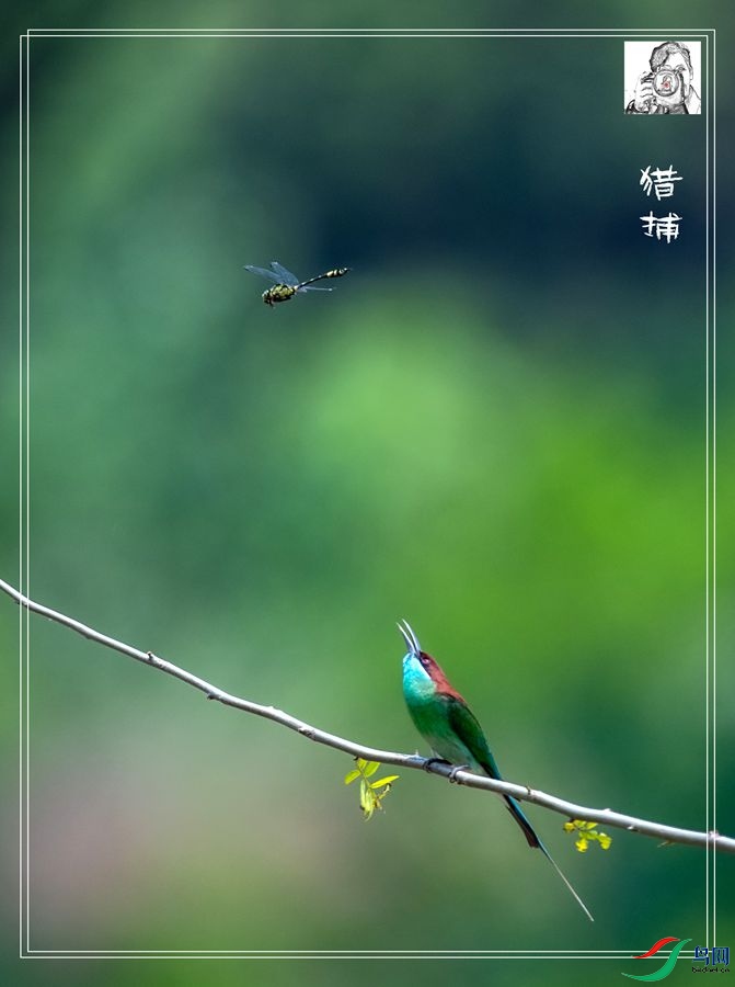 BIN_0073_����_����.jpg