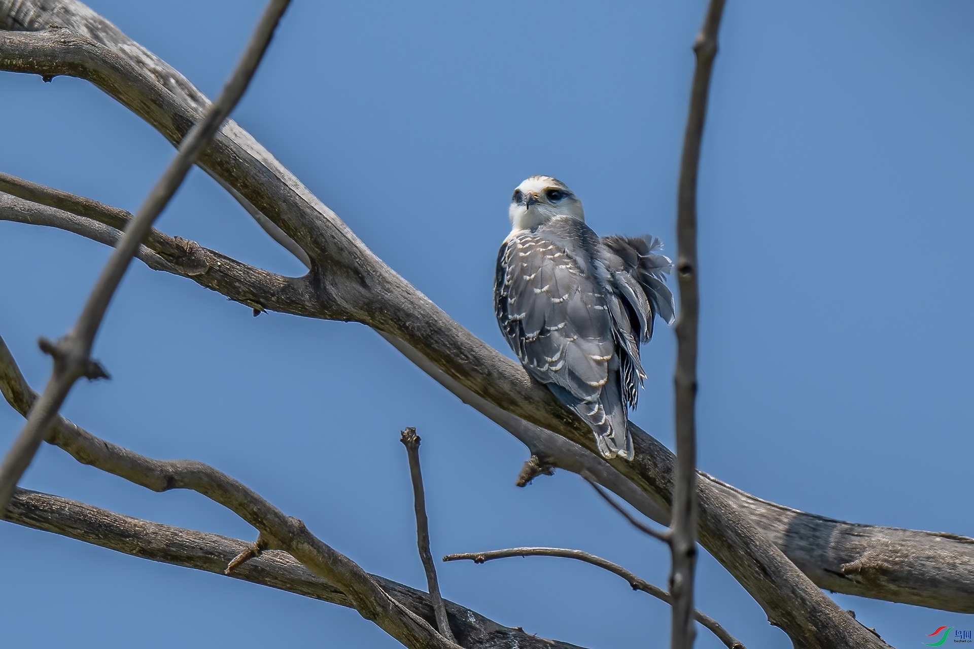 DSC_0415.jpg