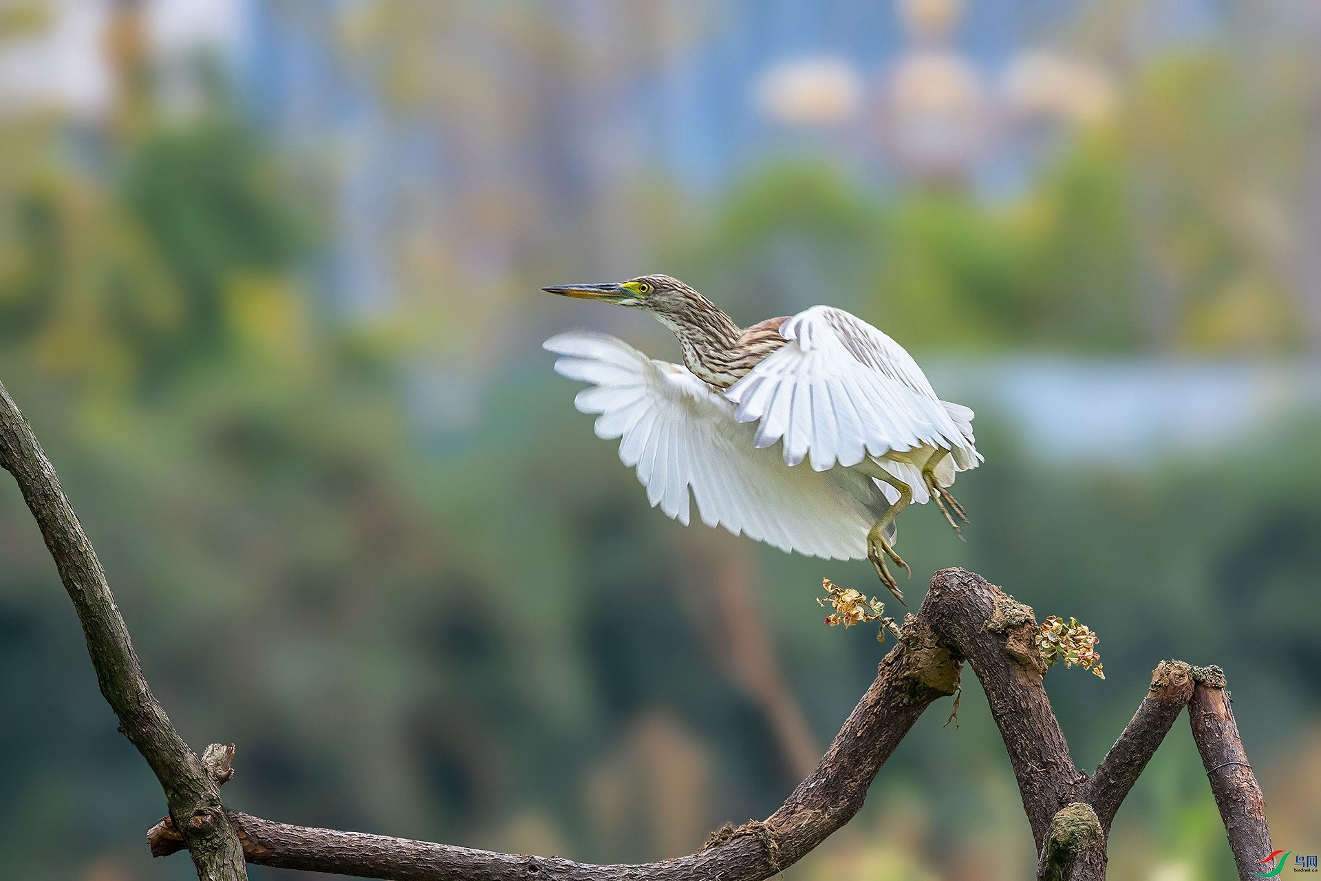 DSC_9748.jpg