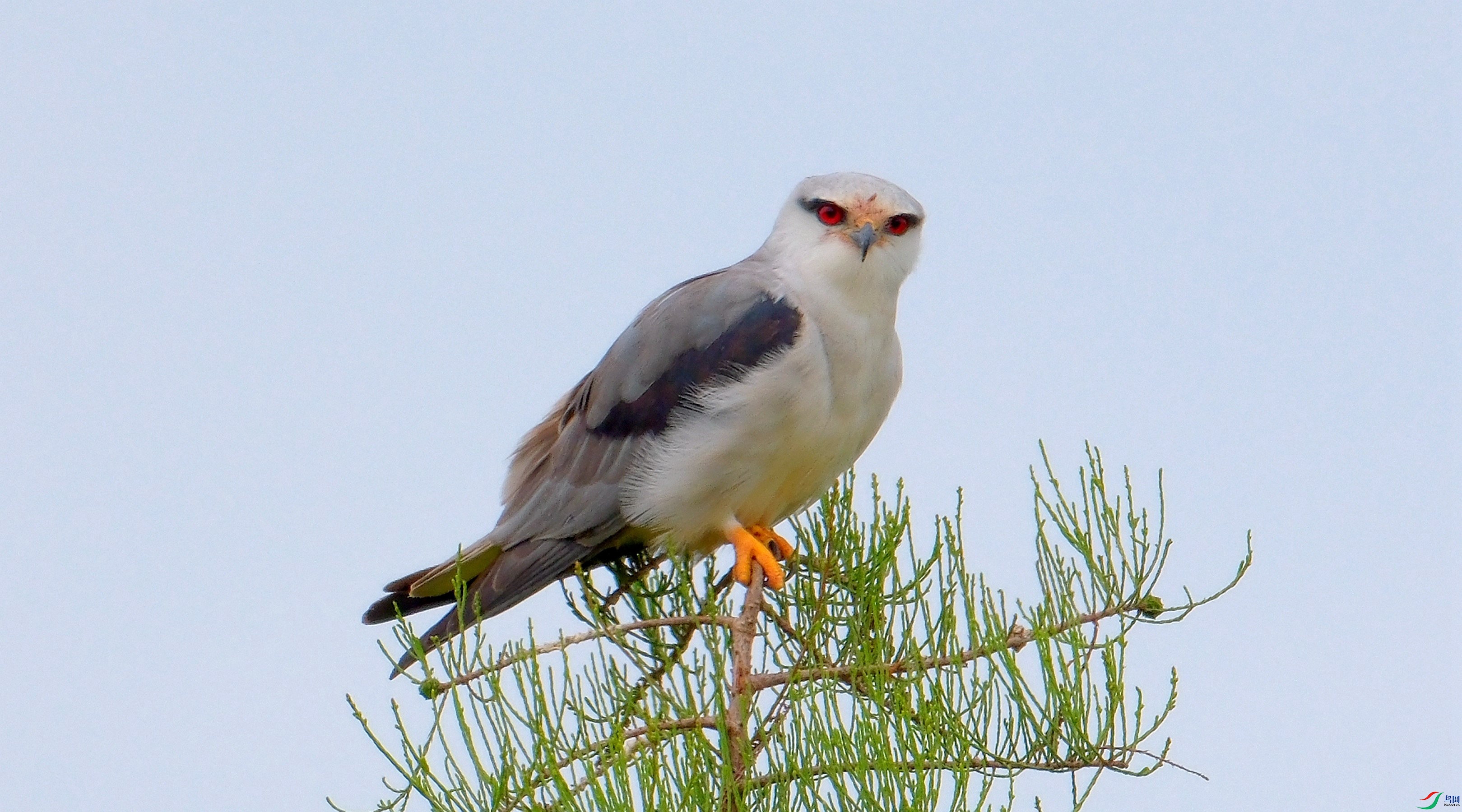 DSCF7448.jpg