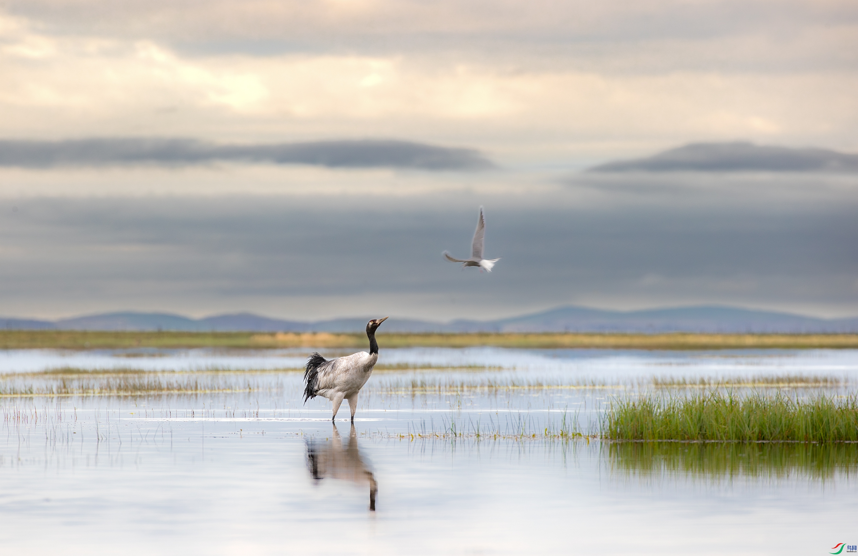 A15I2934- ����.jpg