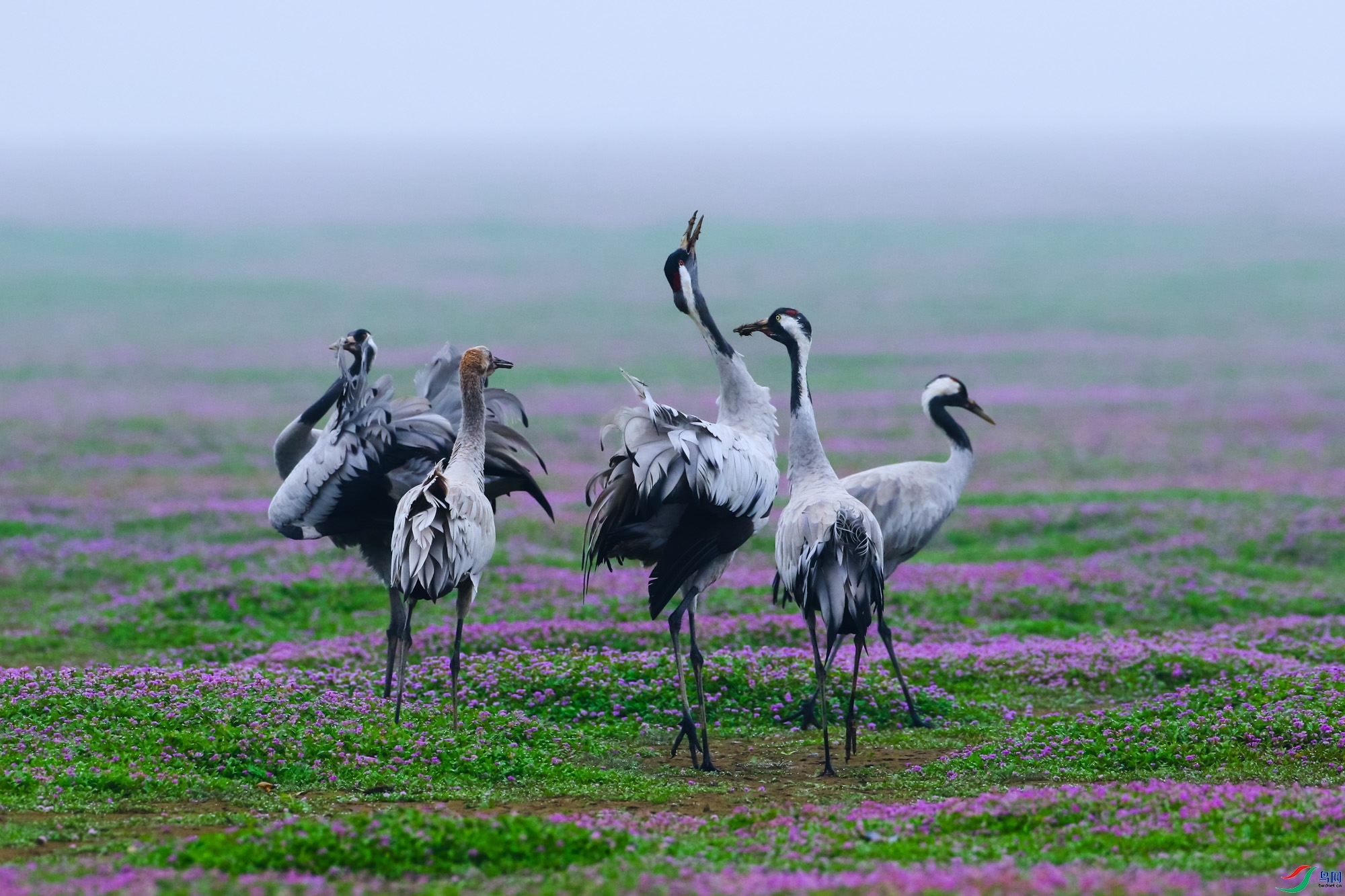 5.20 л������ʦ��Ʒ  �Һ�(5)  �ٻ�2024��5��20�հ�����ҳ����.jpg