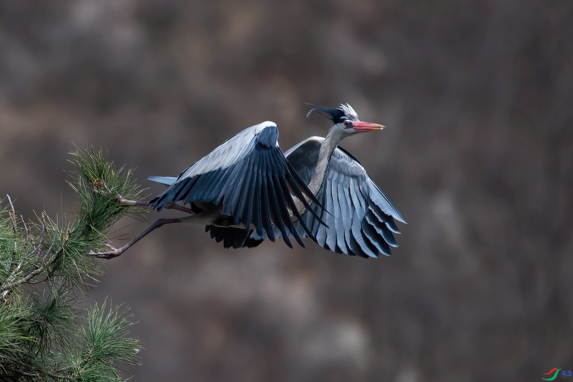 5.21 ����¥̨��ʦ��Ʒ  ���  �ٻ�2024��5��21��������ҳ����.jpg