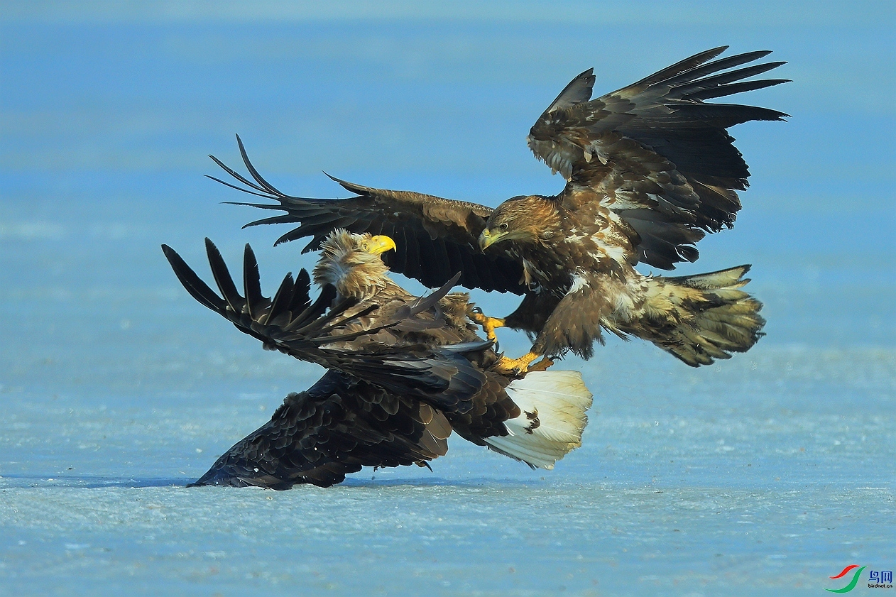 5.21 �����۽���ʦ��Ʒ  ������η  �ٻ�2024��5��21����Ӱʦ��ҳ����.jpg