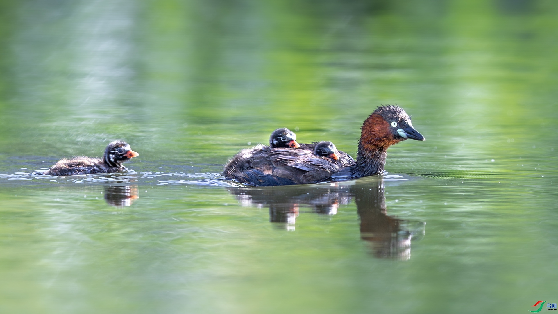 5.21 ����ī��ʦ��Ʒ  ����İ�  �ٻ�2024��5��21��������ҳ����.jpg