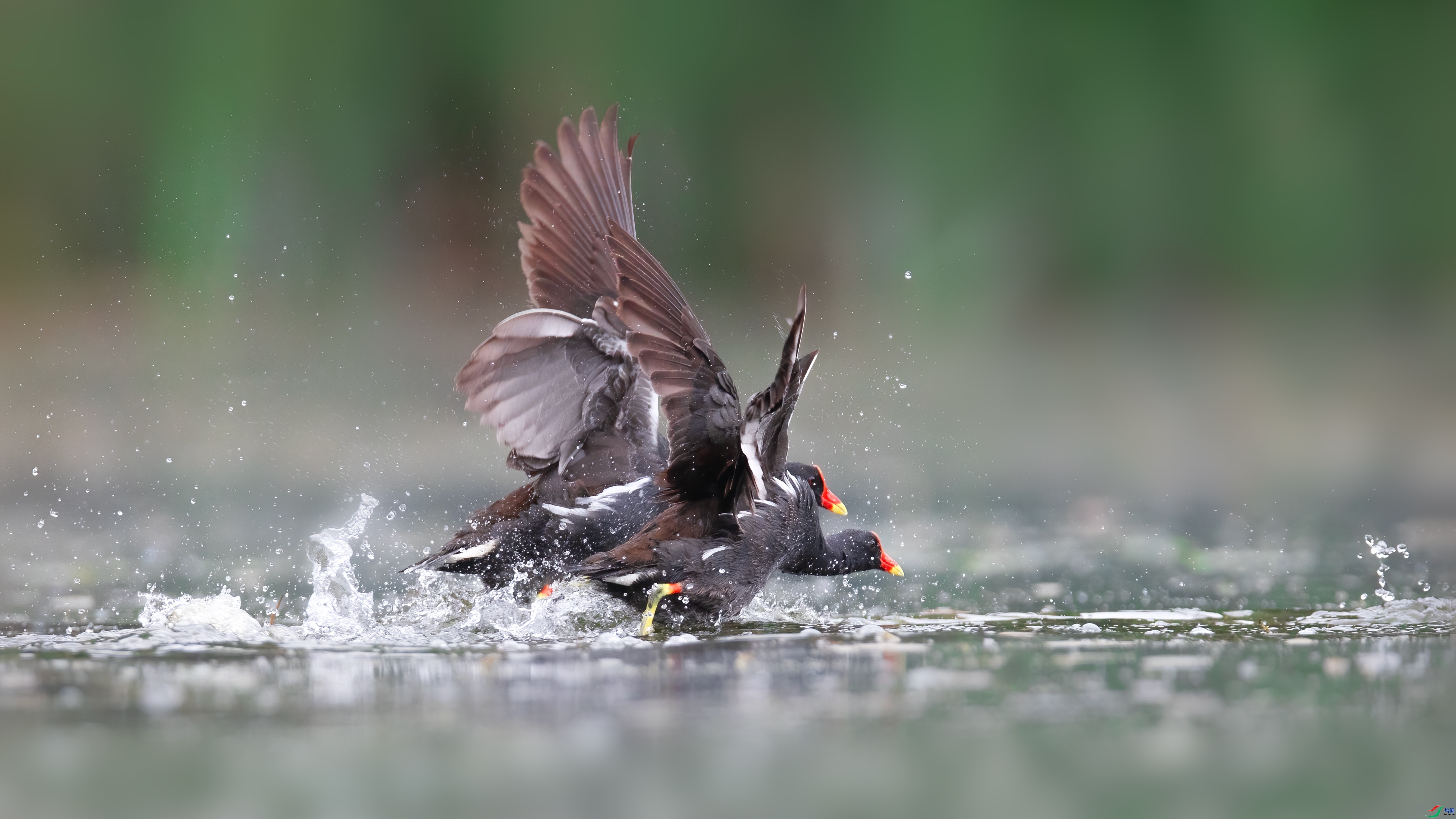 5.21 С������ʦ��Ʒ  ��ͷ����  �ٻ�204��5��21�հ�����ҳ����.jpg