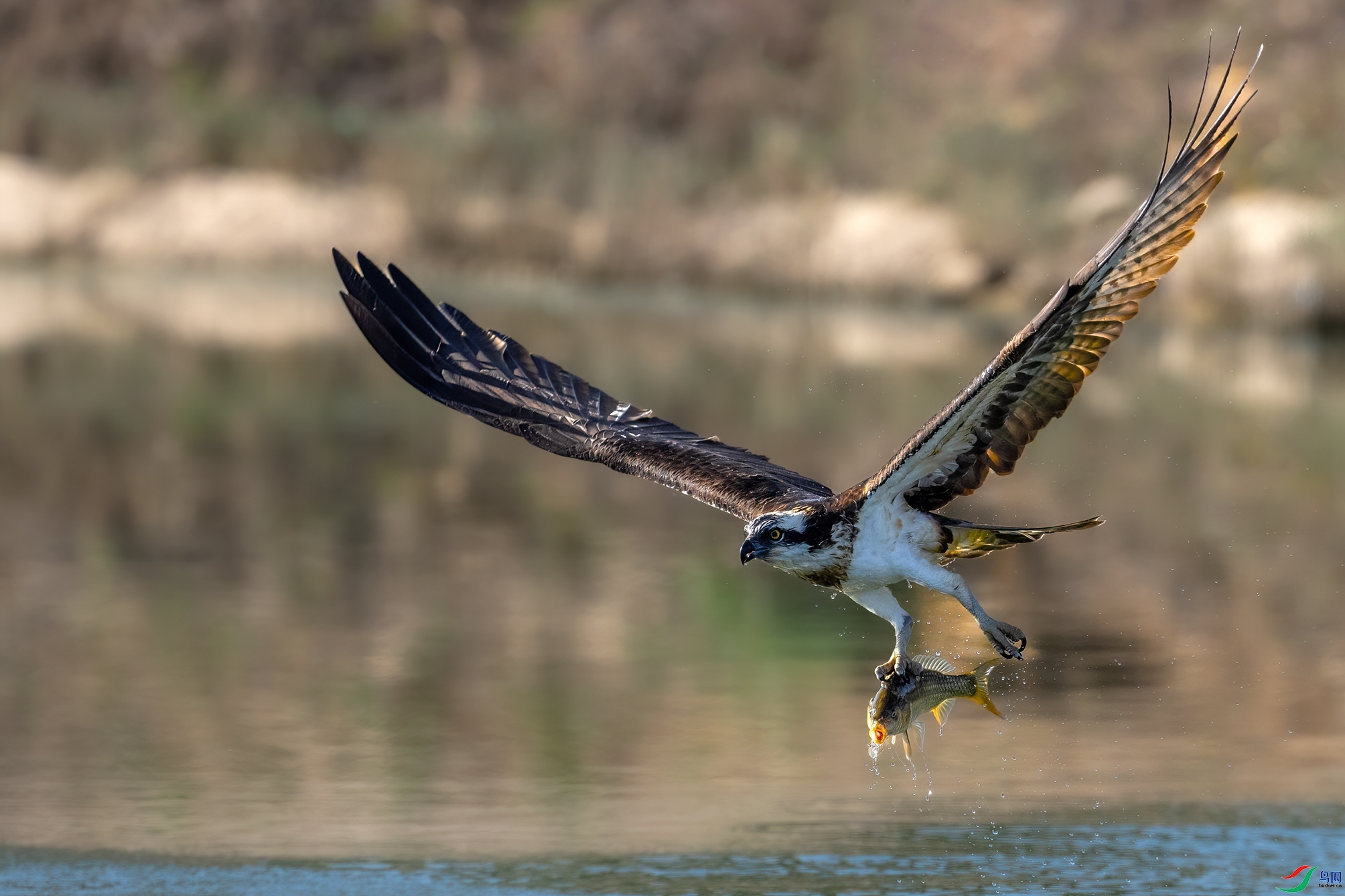 5.22 ����������ʦ��Ʒ  �ʵ����  �ٻ�2024��5��22����Ӱʦ��ҳ����.jpg