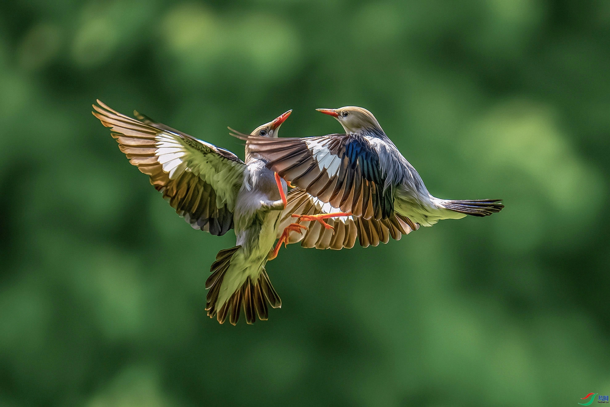 5.22 С������63��ʦ��Ʒ  ���ƺ�ϵ�ս��  �ٻ�2024��5��22����Ӱʦ��ҳ����.jpg