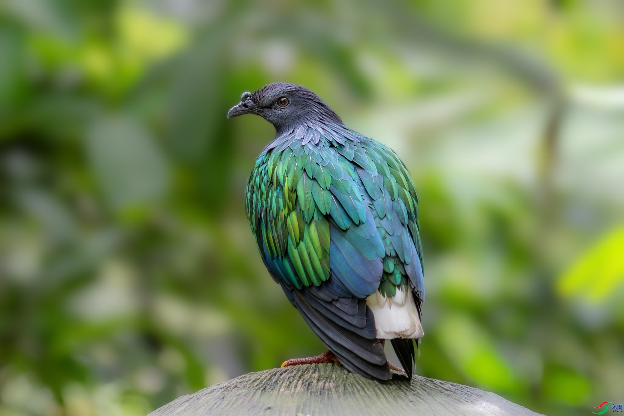 5.23 ��Ů��·����ʦ��Ʒ  ��°��  �ٻ�2024��5��23�հ�����ҳ����.jpg