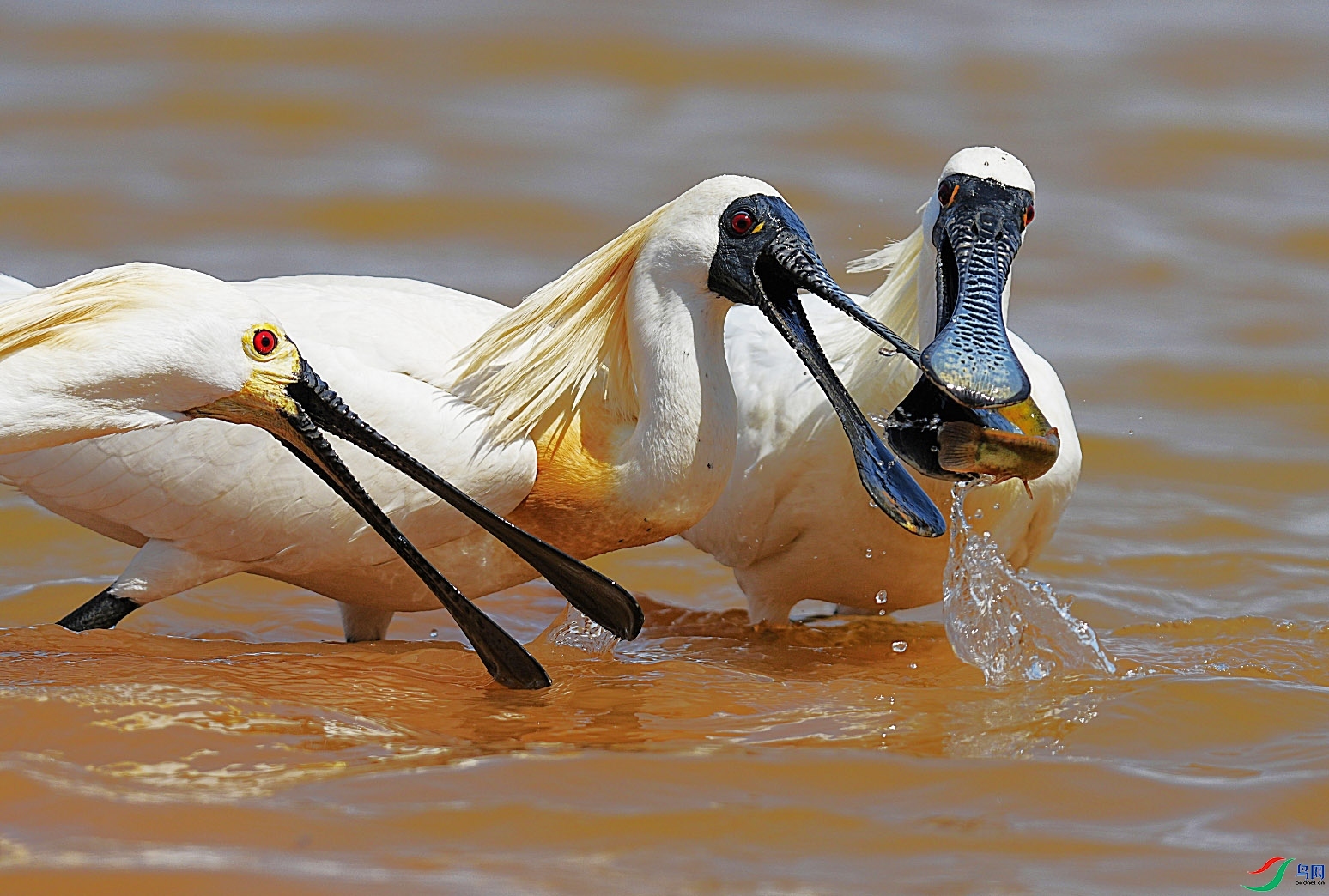 5.23 �Ϻӿ���ʦ��Ʒ  ��������  �ٻ�2024��5��23����Ӱʦ��ҳ����.jpg