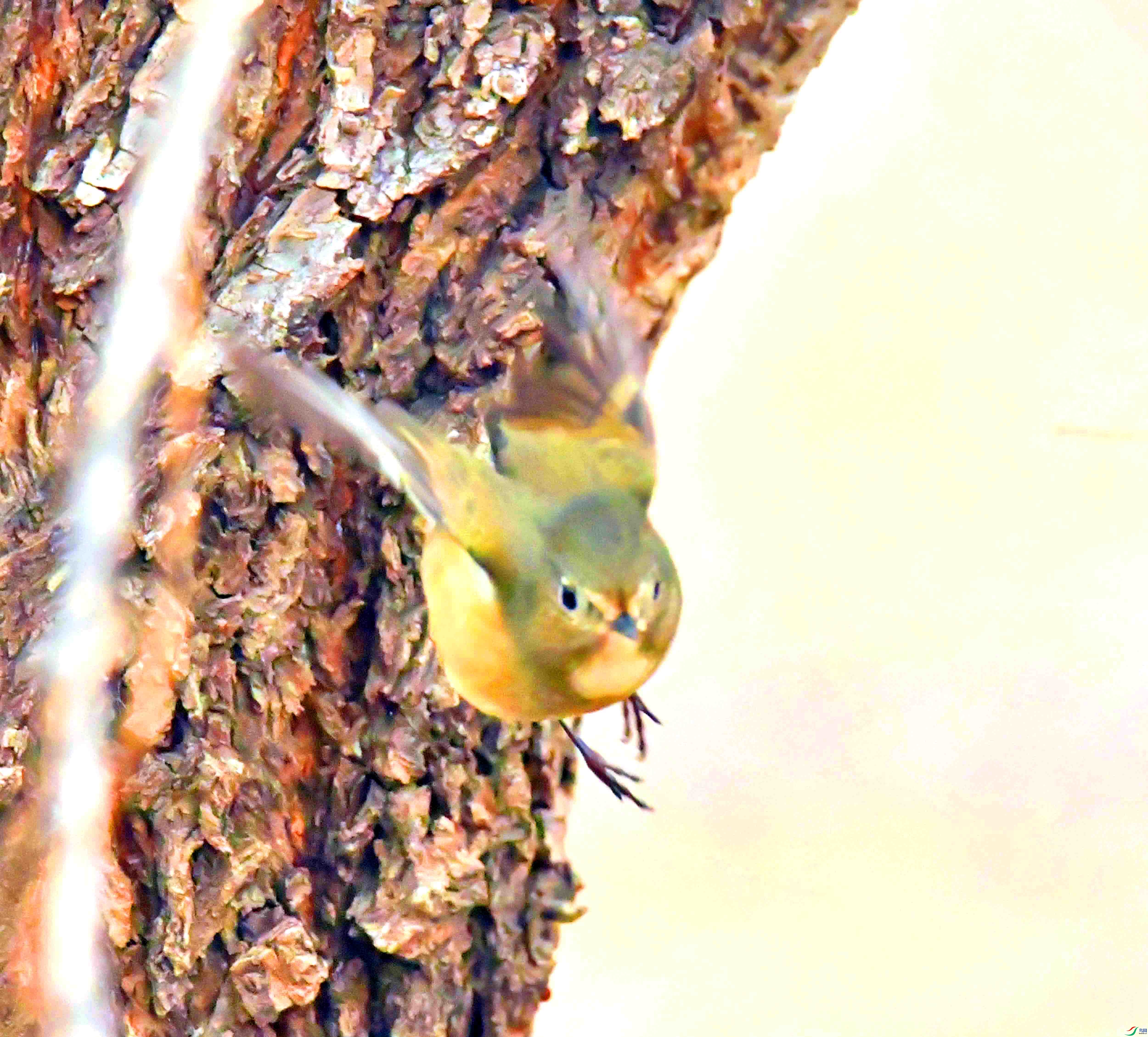 DSC_4142.JPG