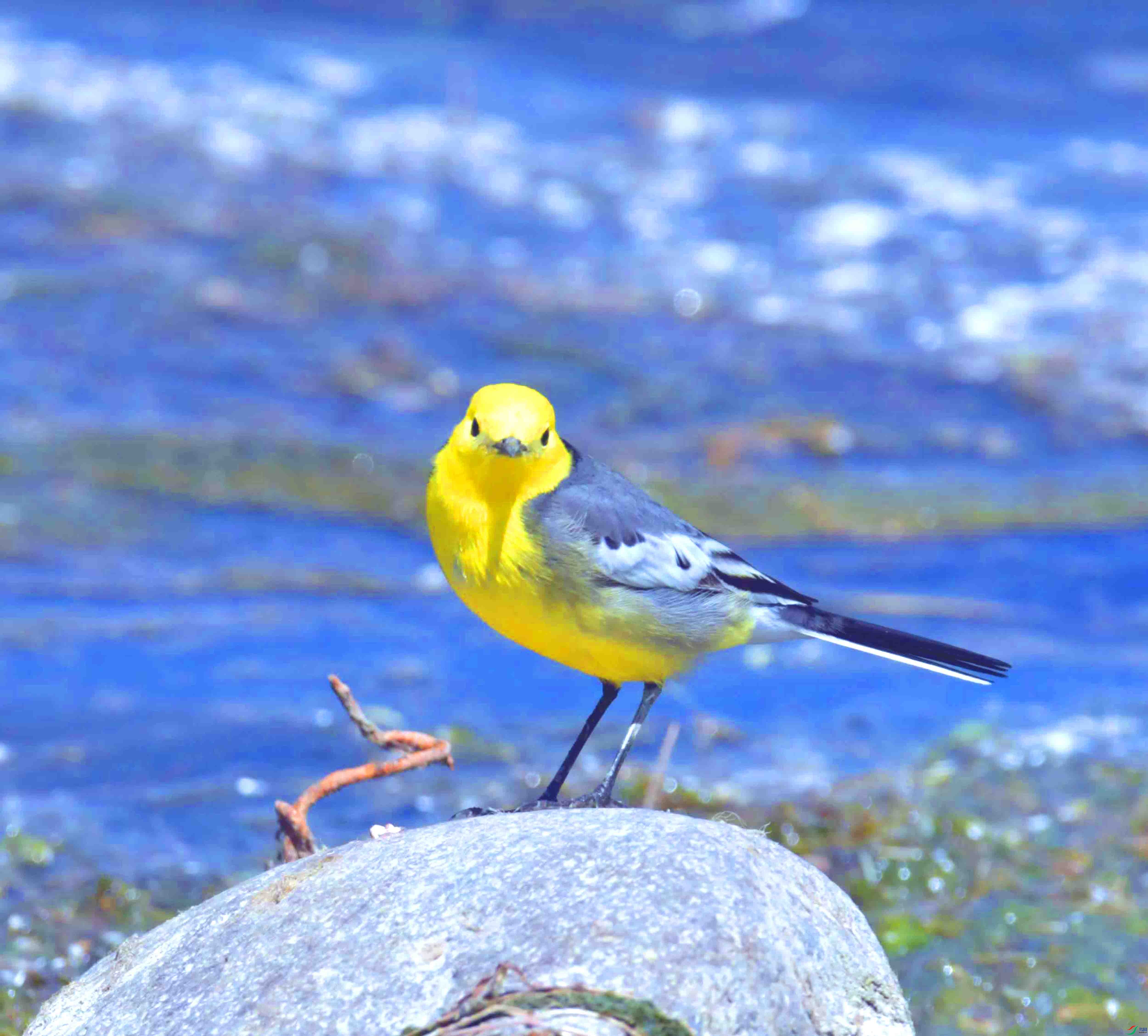 DSC_0315.JPG