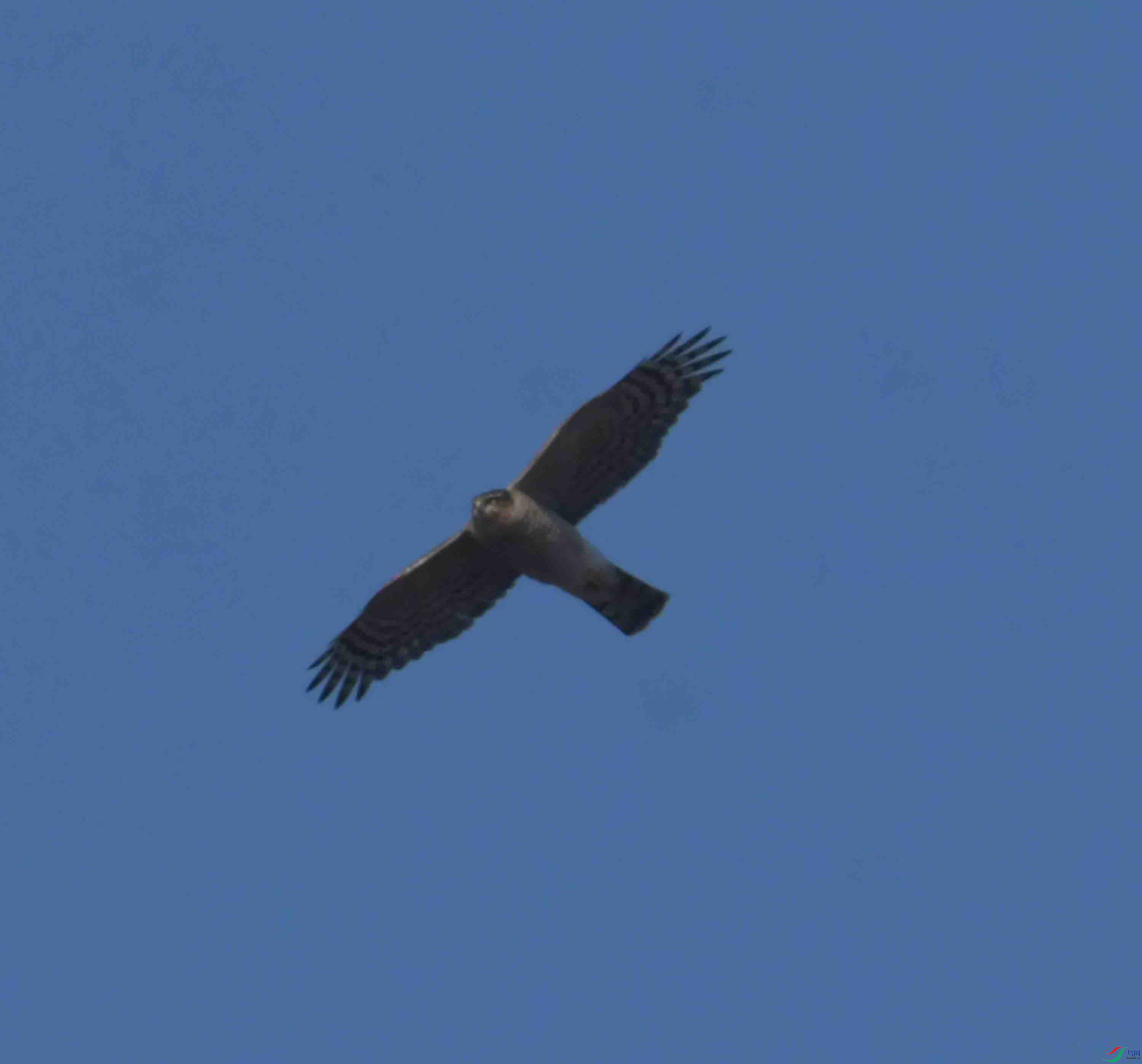 DSC_1551.JPG