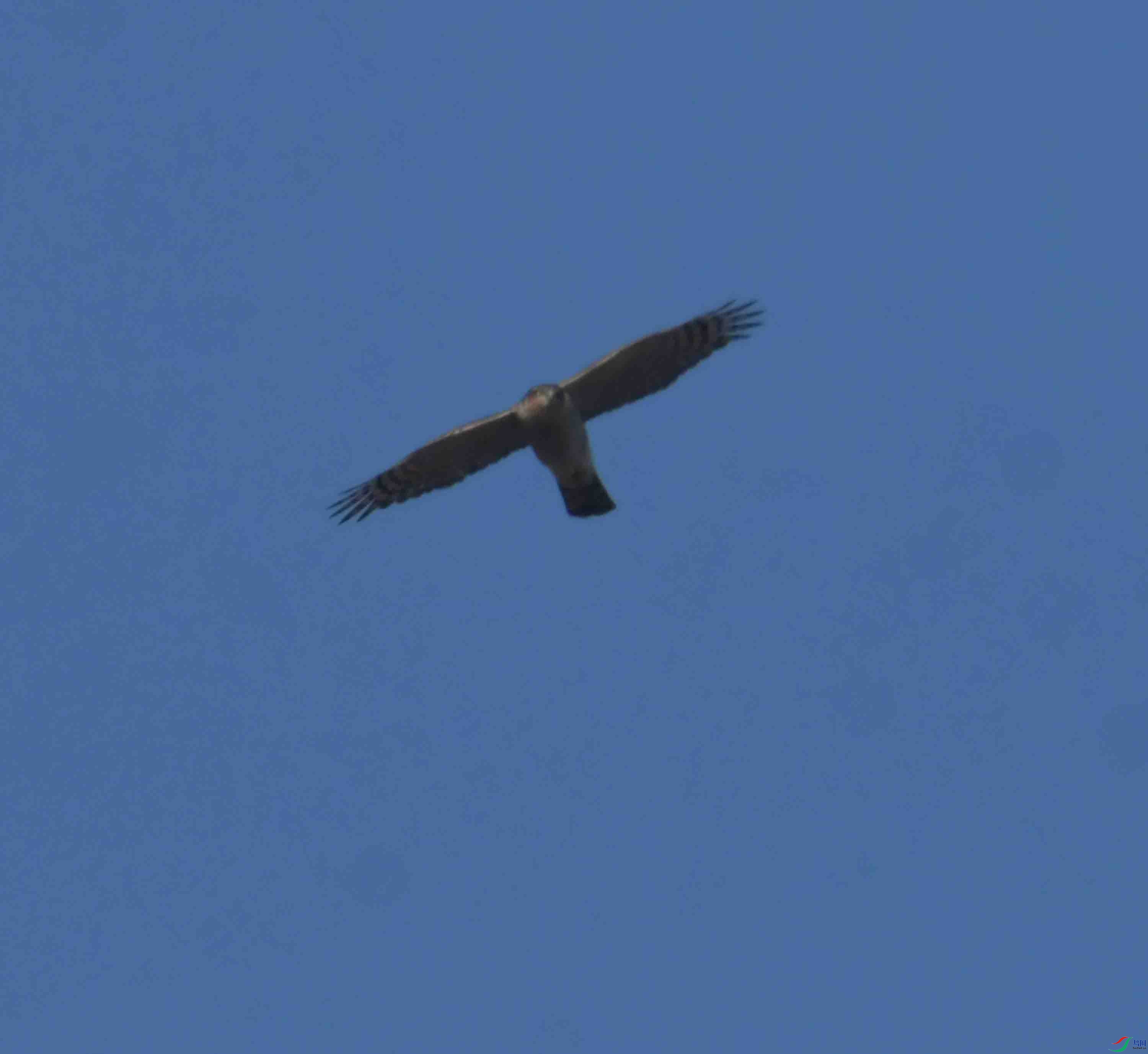 DSC_1562.JPG