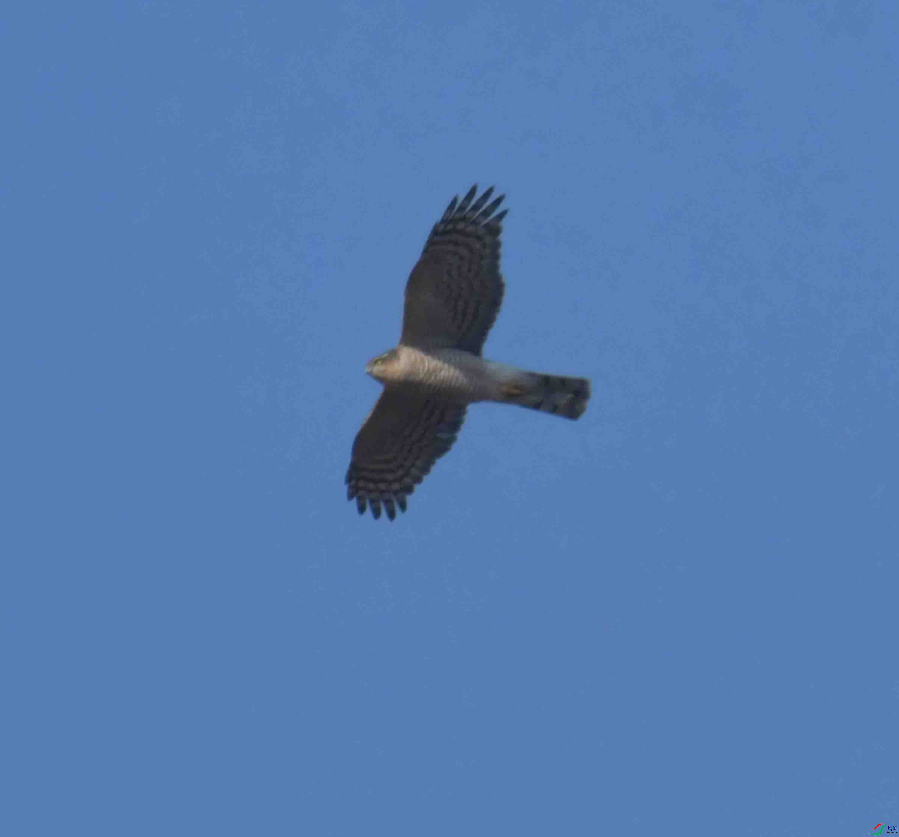 DSC_1553.JPG