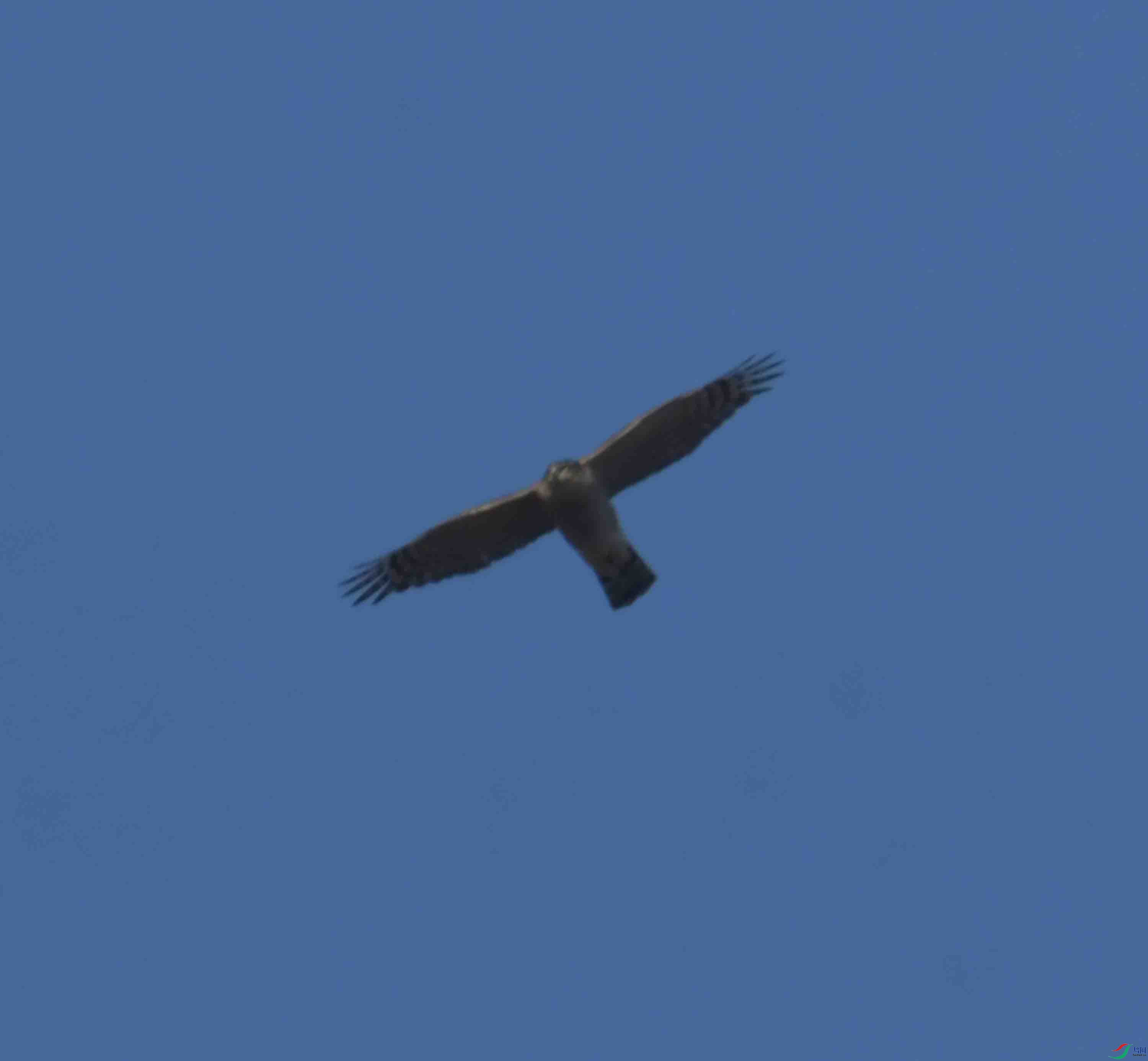 DSC_1564.JPG