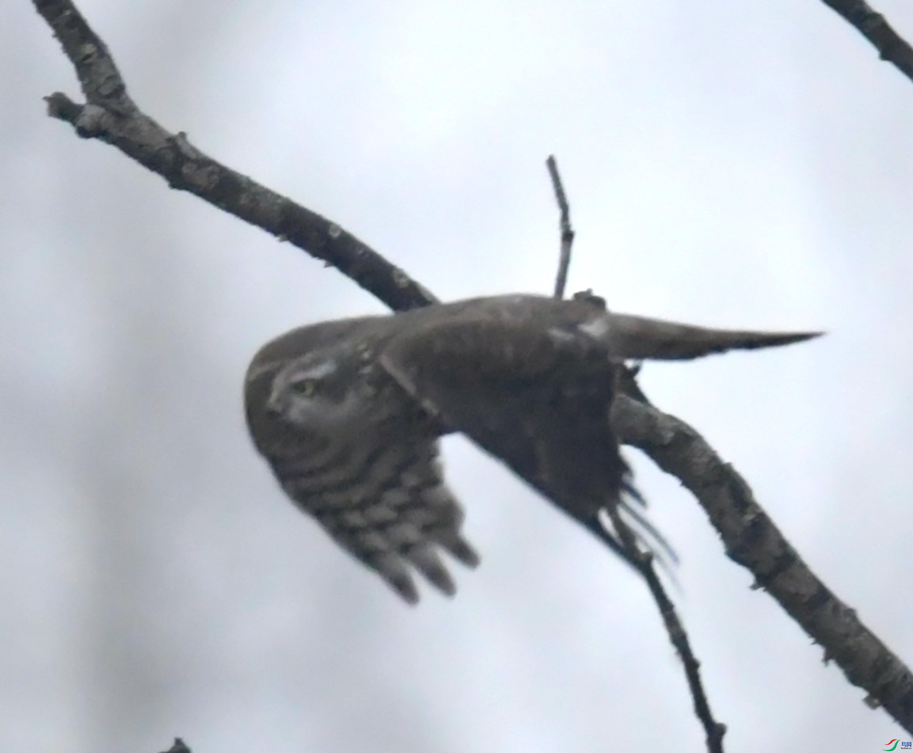 DSC_3838.JPG