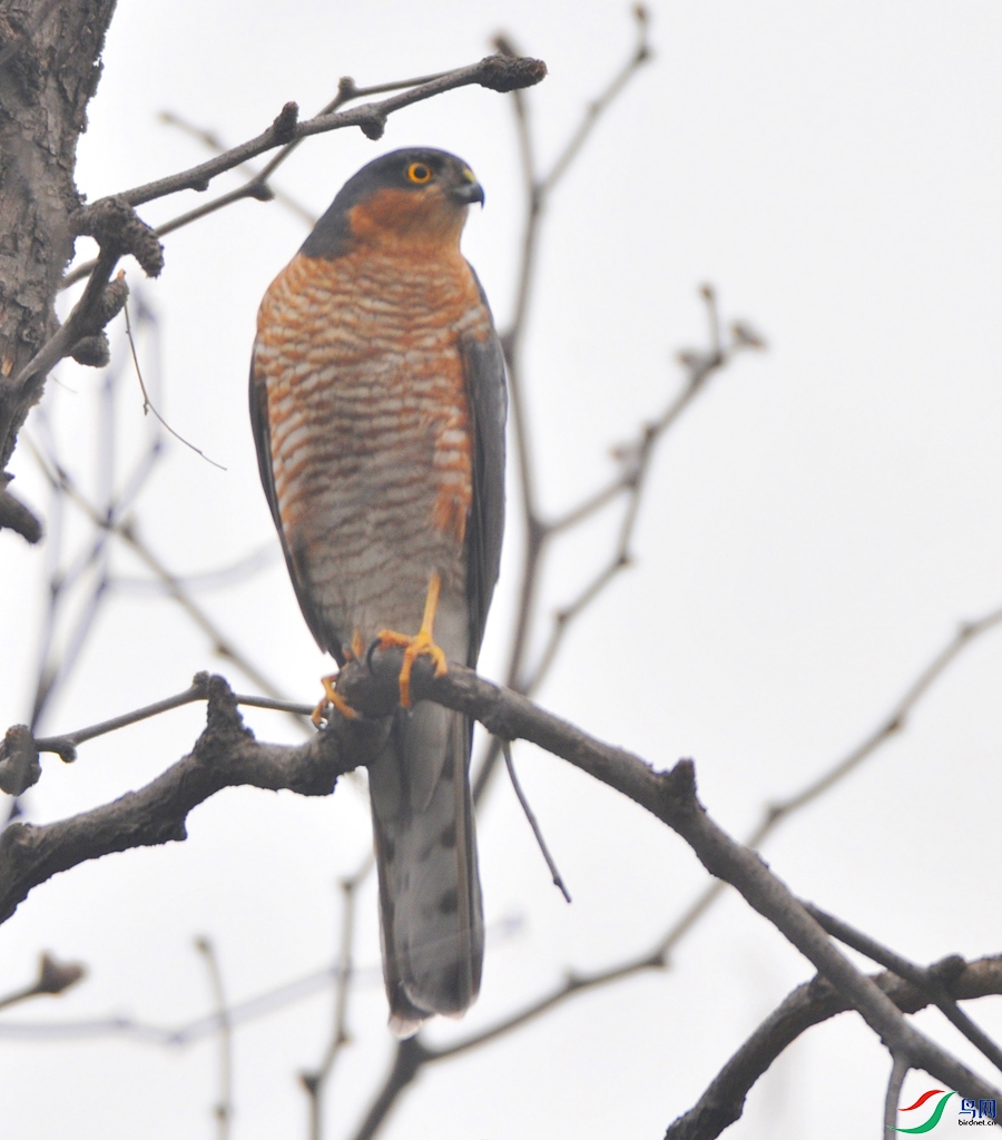 DSC_4152.JPG