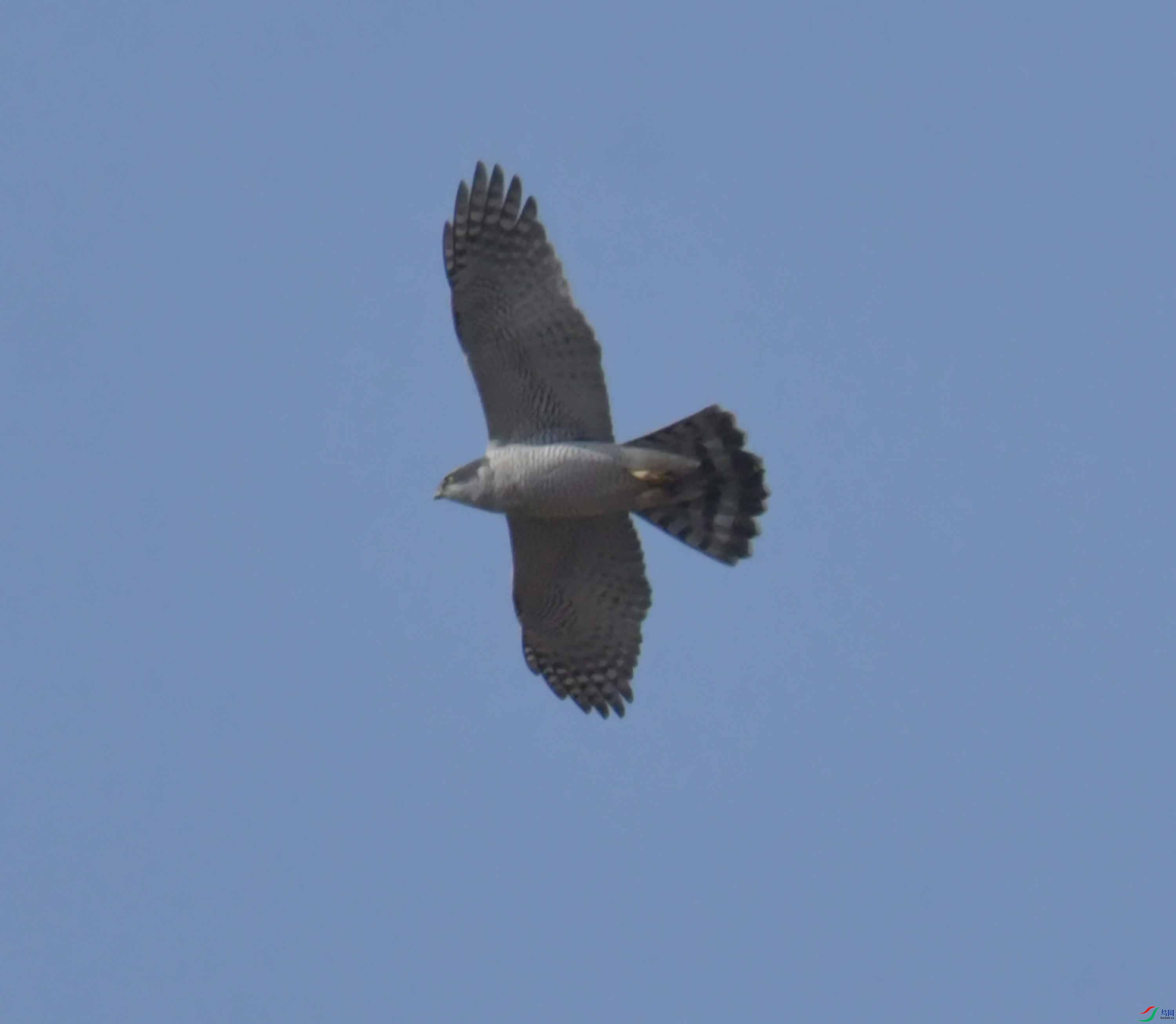 DSC_4447.JPG