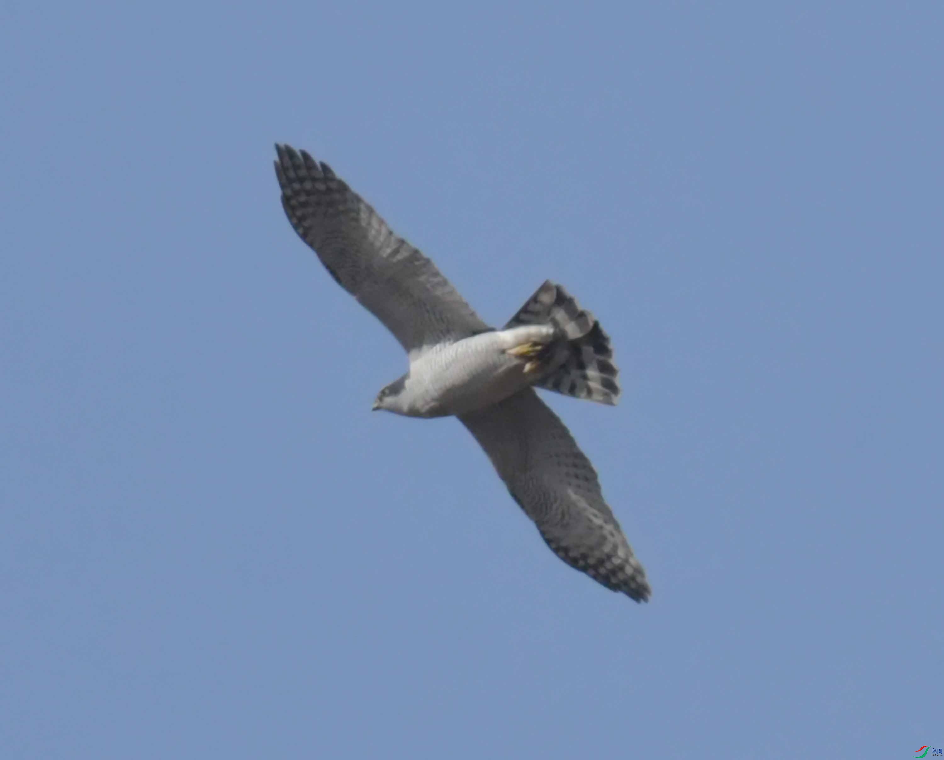 DSC_4448.JPG