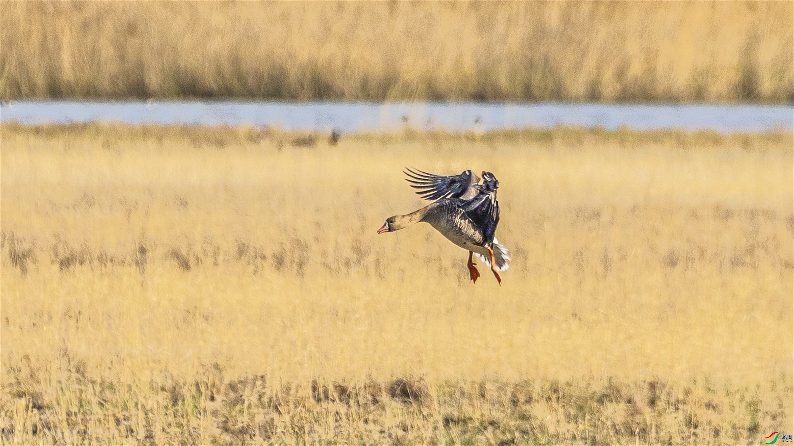 1K3A1606 ����1.jpg