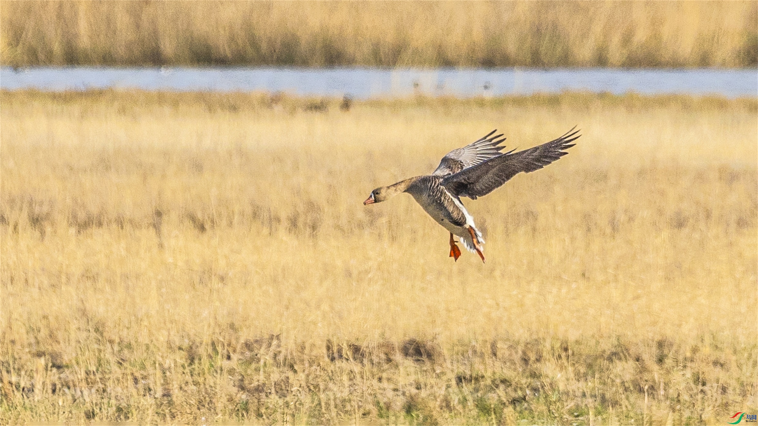 1K3A1607 ����1.jpg