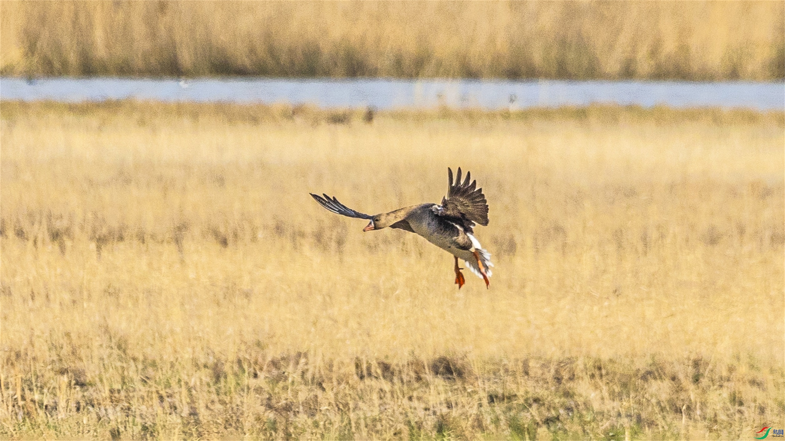 1K3A1608 ����1.jpg