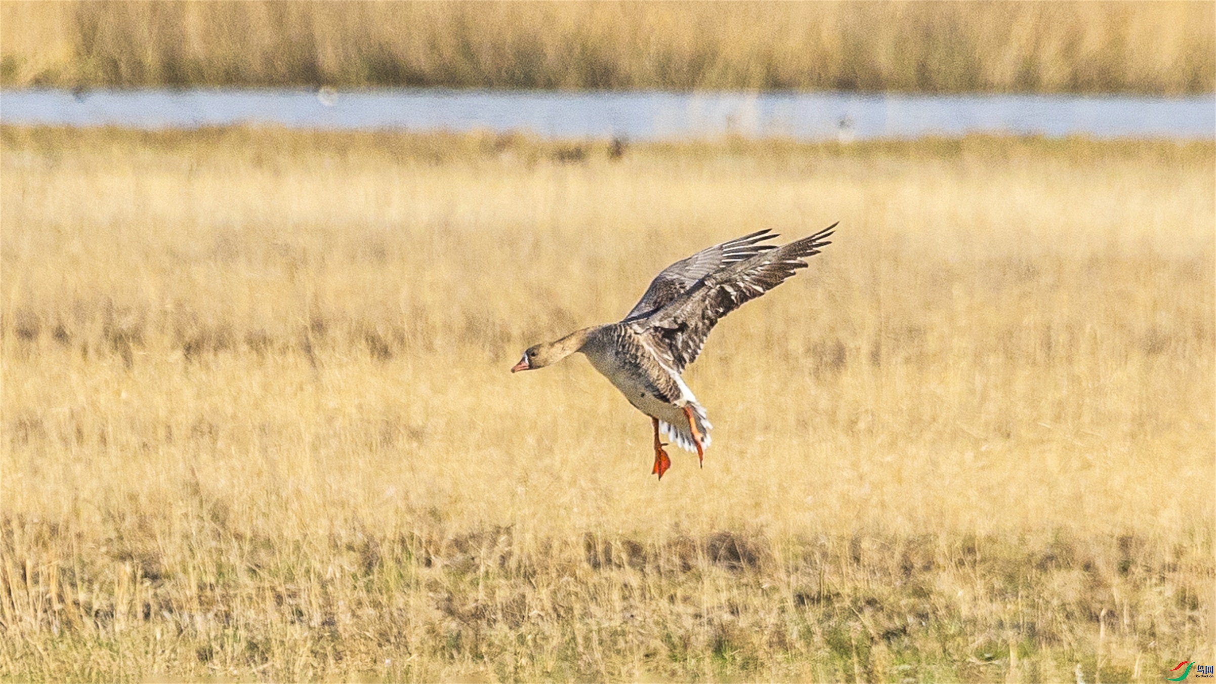 1K3A1610 ����1.jpg