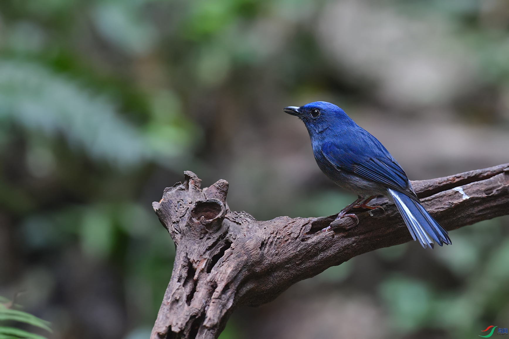 DSC_5157aa.jpg