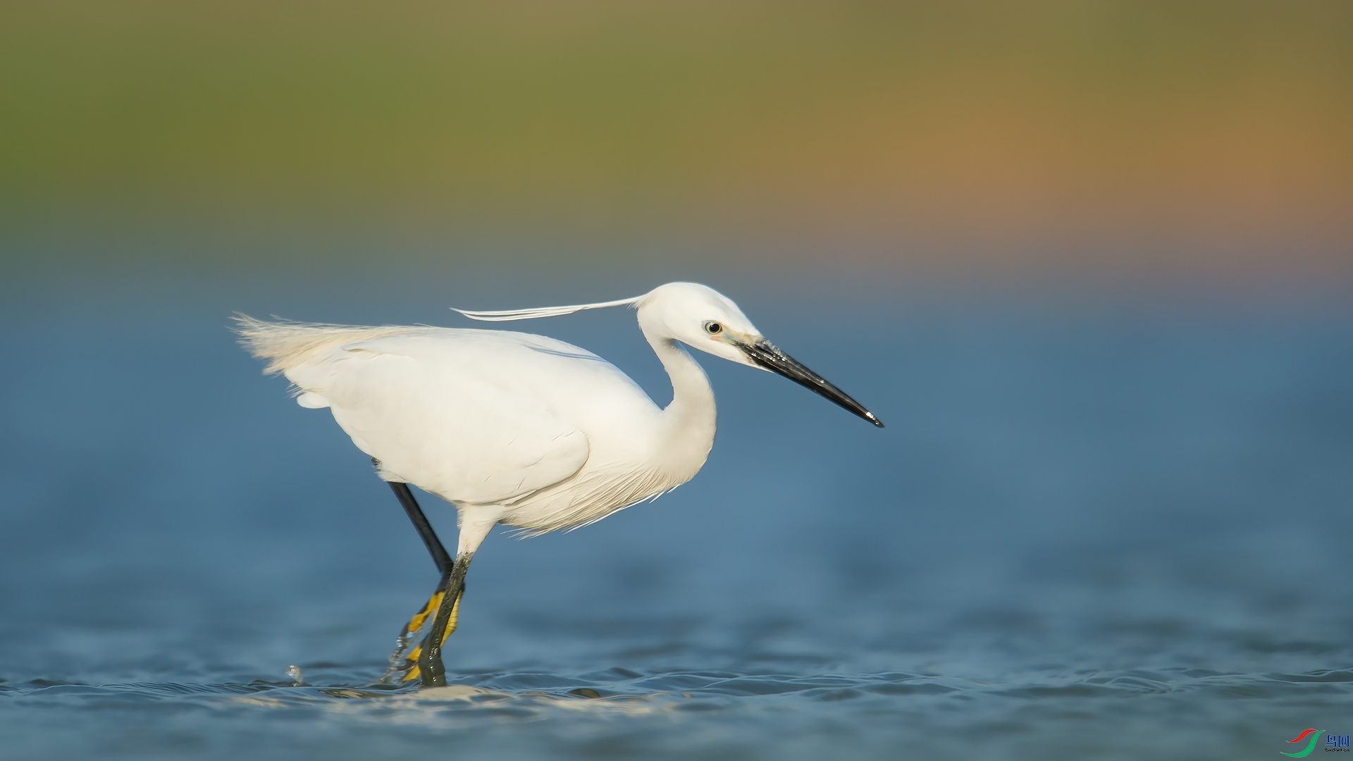 _DSC6787.jpg