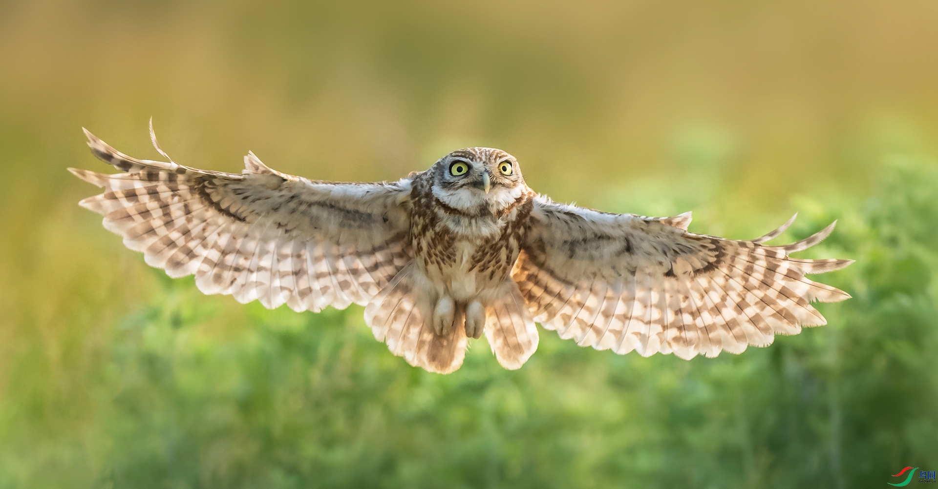 ���Ƹ�С�^