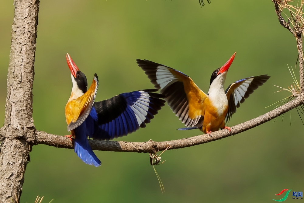 5.17����������ʦ��Ʒ   չ����ҫ ��ף���ٻ��Ա������.jpg