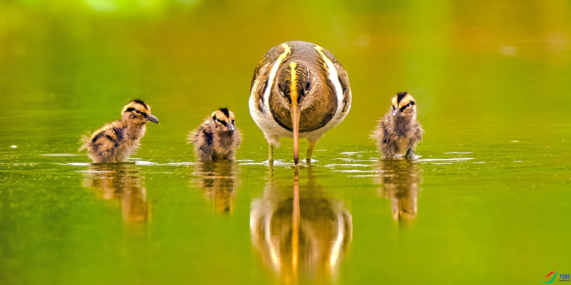 5.19lpy13801380��ʦ��Ʒ   �ڿ� ��ף���ٻ���Ӱʦ������.jpg