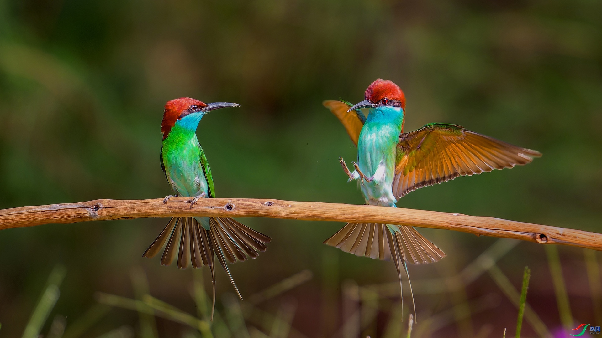 5.20����627��ʦ��Ʒ  ��˫�� ��ף���ٻ����Ѿ�����.jpg