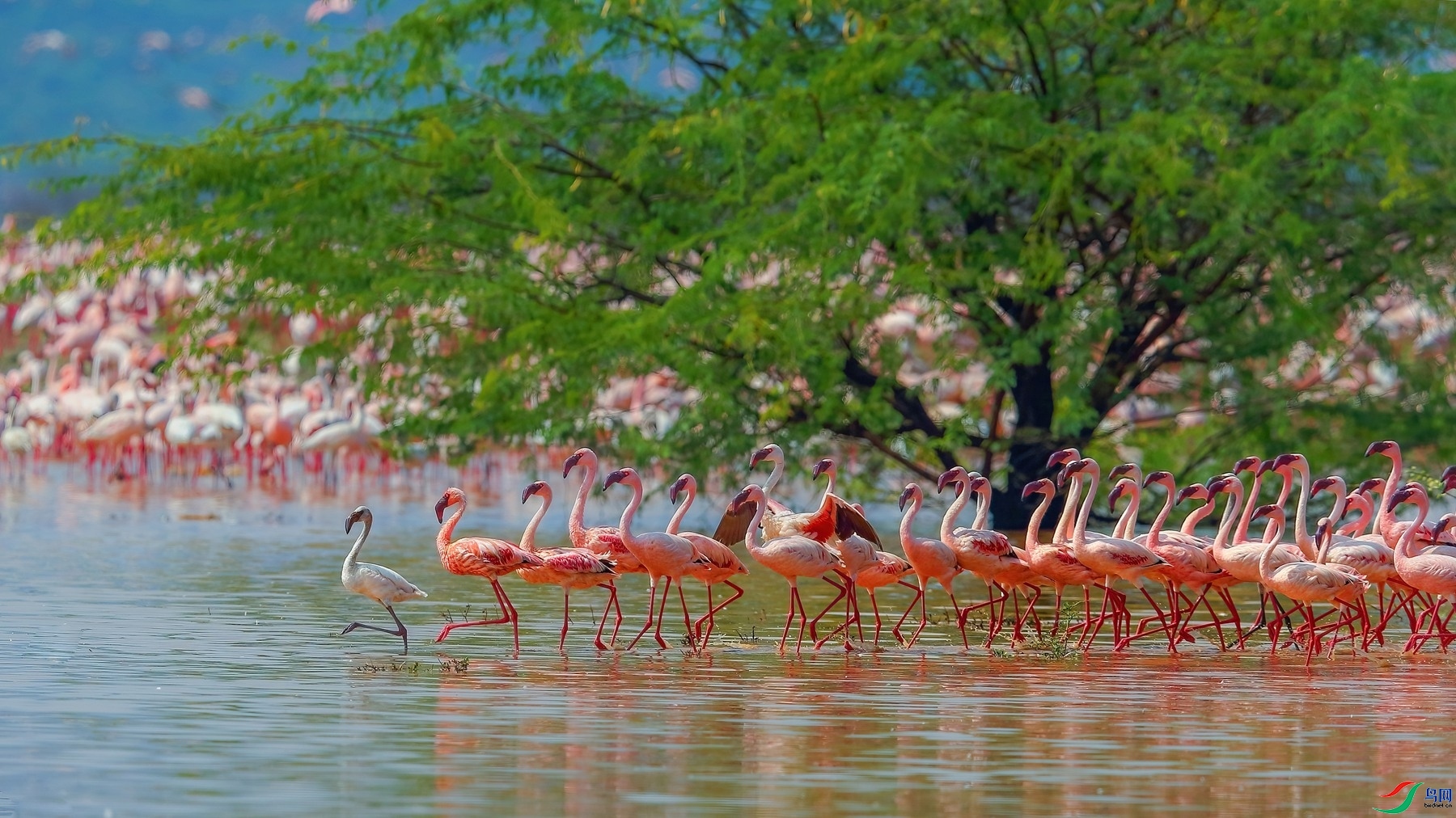 5.20����ͬ��yy��ʦ��Ʒ  �������� ��ף���ٻ��Ա������.jpg