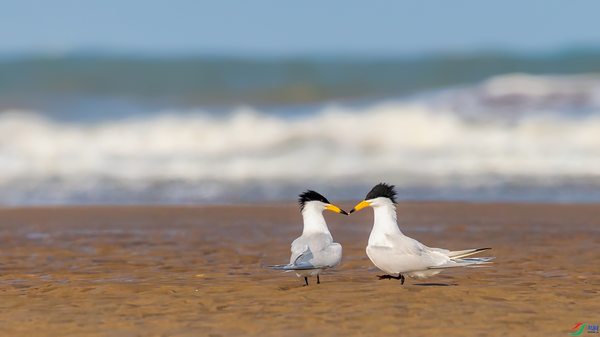 5.22Դ����Ȼ��ʦ��Ʒ����֮�� ��ף���ٻ����������.jpg