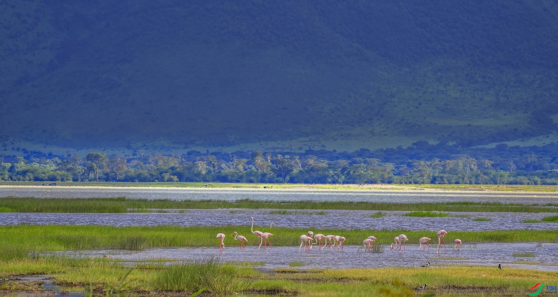 5.23����ͬ��yy��ʦ��Ʒ   �����������ʺ� ��ף���ٻ��Ա������.jpg