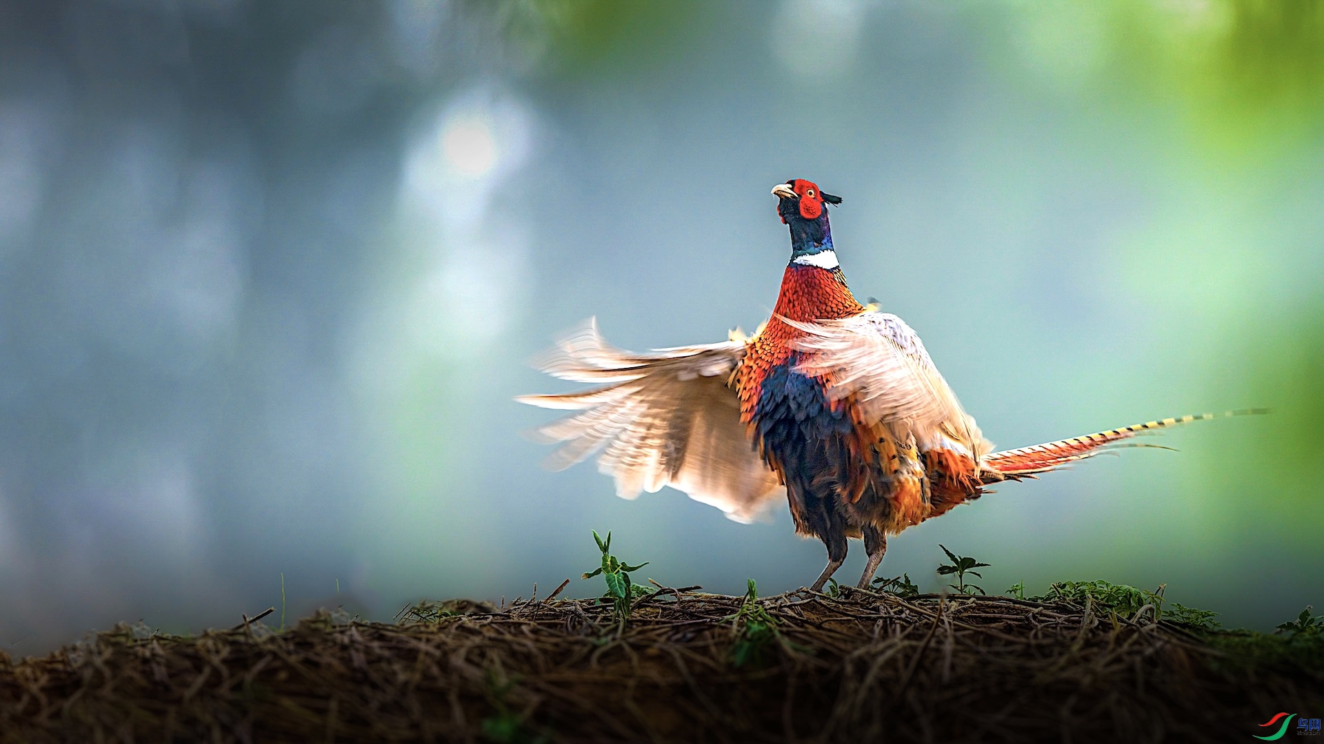 1-1 ���� 3.jpeg