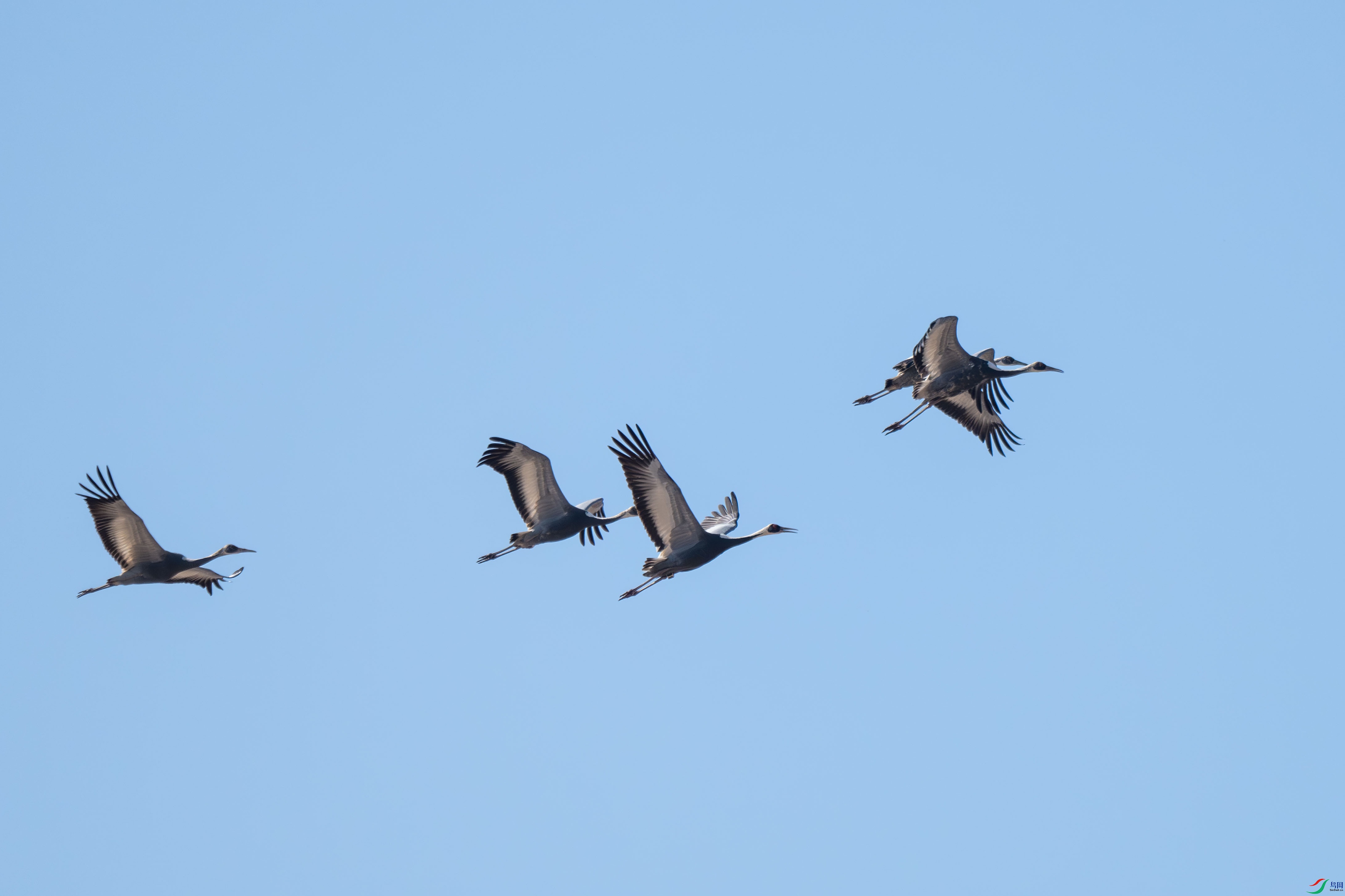 DSC_6493.jpg