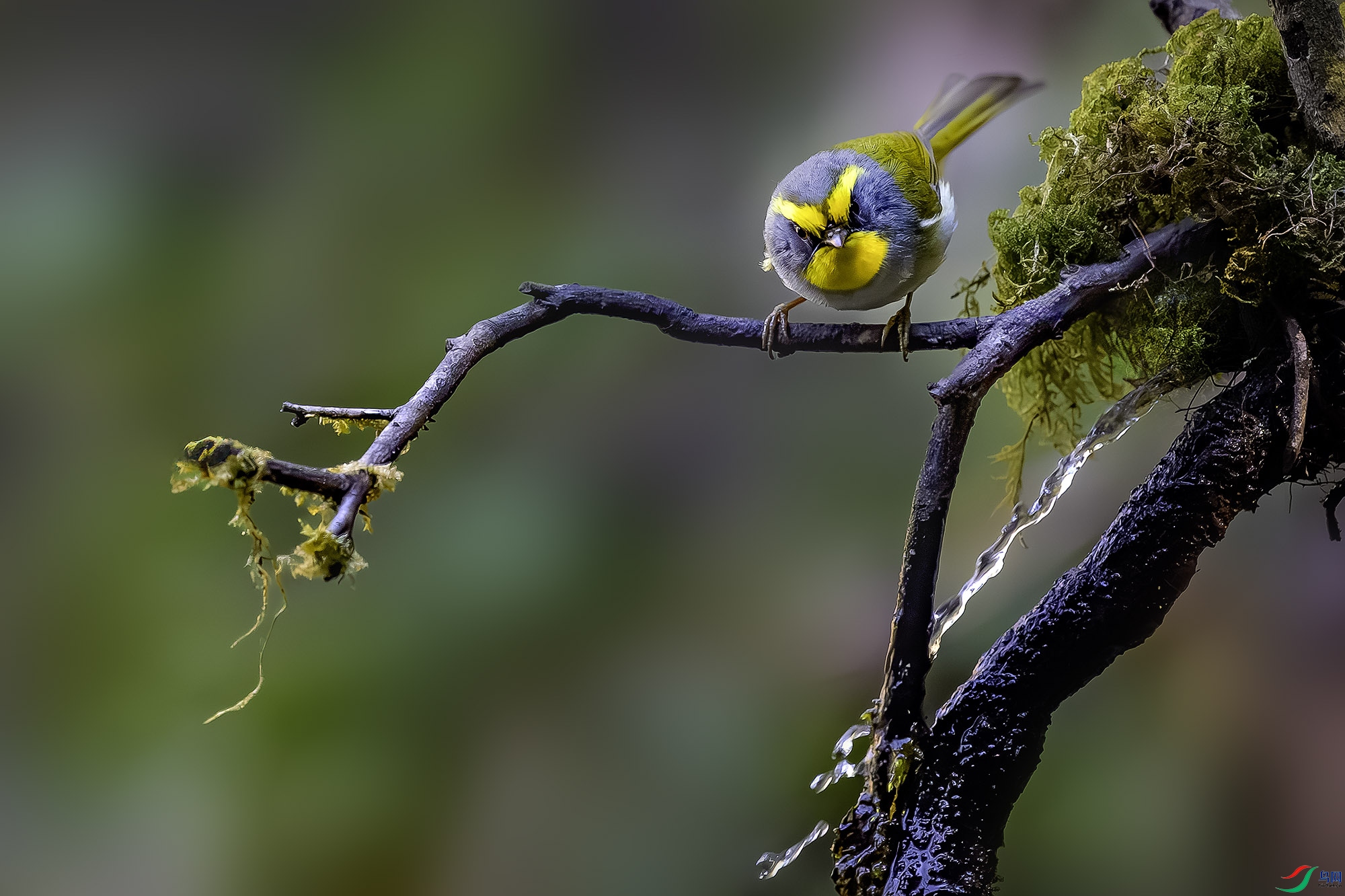 _DSC4839a-����ǿ-NR ����.jpg