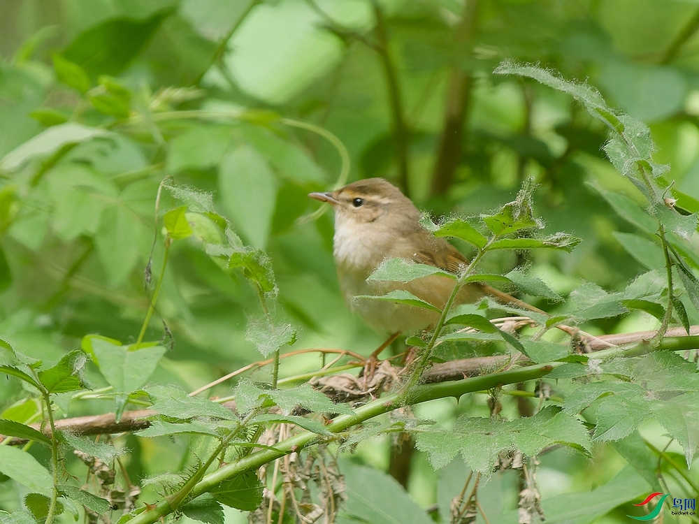 P5110320_DxO - ����.jpg